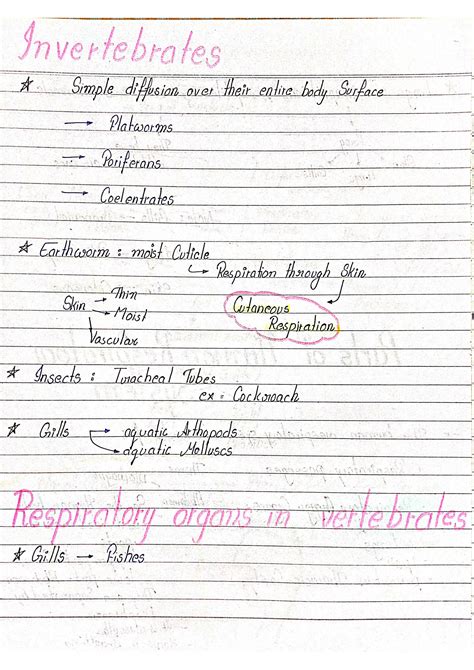 Solution Full Simple Explanation Of Breathing And Exchange Of Gases