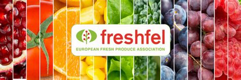 Incremento Del 4 En El Consumo De Frutas Y Verduras Frescas En La Ue Según Freshfel Horticultura