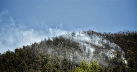 Avanza Contenci N Y Control Del Incendio En La Sierra De Santa Rosa