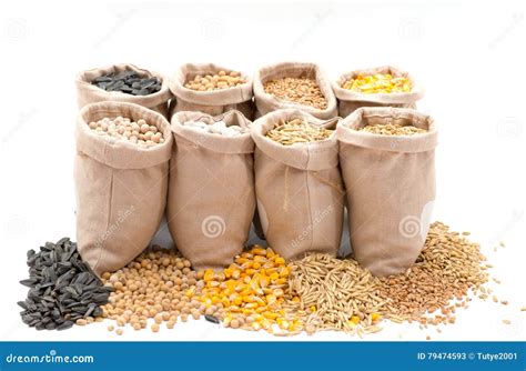 Bags with Cereal Grains Isolated Stock Image - Image of white, food: 79474593