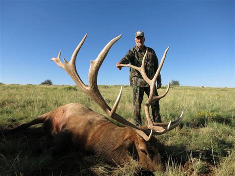 arizona elk hunt units 9