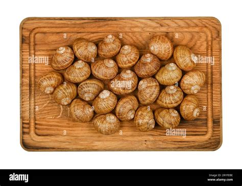 Two dozen of escargot snails on oak wood board Stock Photo - Alamy