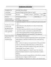 BUS 502 Rubric Individual Capstone Report Docx Assignment