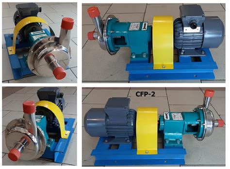 Centrifugal Pump SS 316 CFP 2 Pompa Sentrifugal 1 X 1 110 Lpm 14