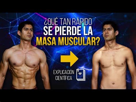 Cu Nto Tiempo Se Necesita Para Perder Masa Muscular Descubre Los