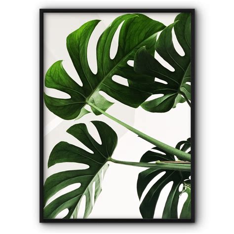 Monstera Leaves Canvas Print Wall Art Poster