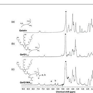 1 H NMR Spectra Of Naked Gelatin A GelG1 1 1 B And GelG1MA 1 1 C