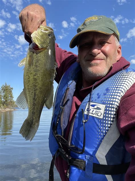 Giant Largemouth Bass