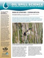 New Sea Grant Bulletin On Birds And Oil Spills Gomri Education Resources