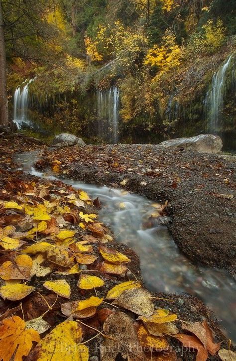 Autumn Day Autumn Leaves Picture Places Over The River Seasons Of