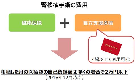 教えて！ドクター｜腎移植の手術代、移植後の免疫抑制薬の費用の助成について 家族と考える慢性腎臓病サイト 腎援隊