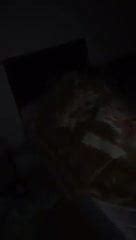 Devam Et Birakma Diyor Free Amateur Porn 69 XHamster