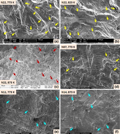 Sem Fractographs Of Lcf Tested Samples At Pct Strain Amplitude