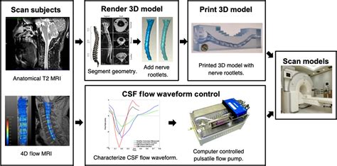 Fourdimensional Flow MRI For Quantitative Assessment Of Cerebrospinal