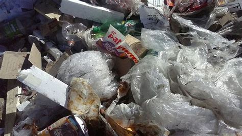 Una Empresa Fue Multada Por Arrojar Alimentos Vencidos Y Basura En El