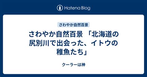 さわやか自然百景 「北海道の尻別川で出会った、イトウの稚魚たち」 クーラーは神