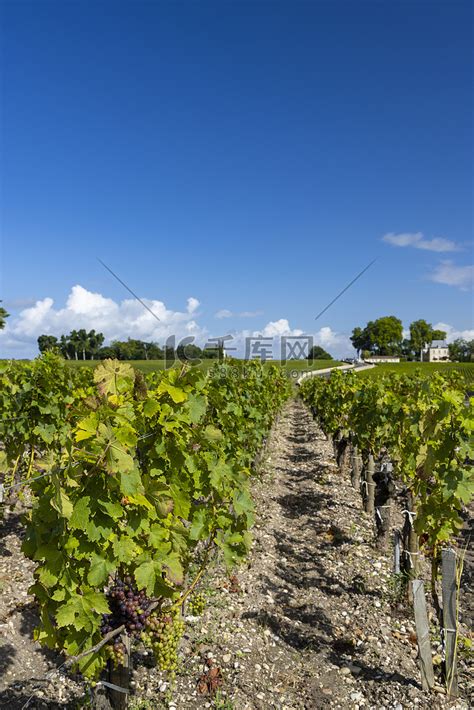 Chateau Pichon Longueville Comtesse de Lalande波尔多阿基坦法国附近典型的葡萄园高清摄影大图 千库网