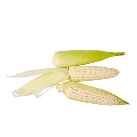 Peel Waxy Corn White Jade Rice Waxy Corn Corn Png Transparent Image