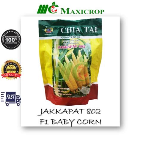 500g Chia Tai F1 Hybrid Baby Corn Jakkapat 802 Seeds F1 Biji Benih