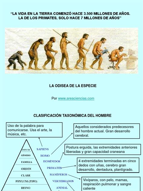 La Evolucion Del Hombre