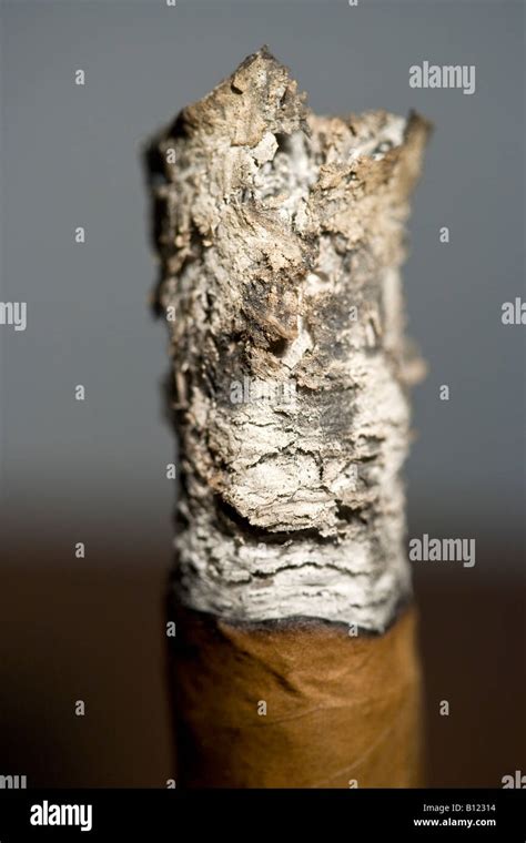 Cigar Ash Stock Photo - Alamy