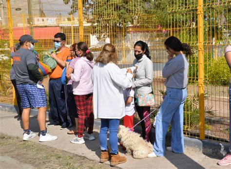 Todo Un Xito Resulto La Primera Campa A De Esterilizaci N Y Vacunaci N