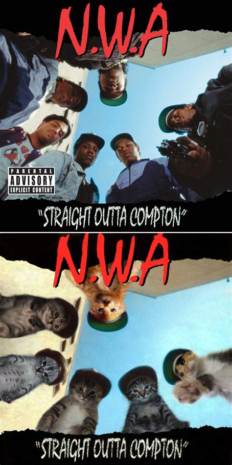 Famous Album Covers Reimagined With Kitten Charm Barnorama