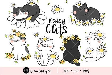 Daisy Cat Clipart Graphic By Catandme · Creative Fabrica