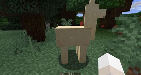 Can You Put Chests On Llamas In Minecraft - Matthews Sagem1938