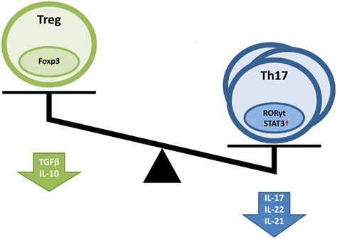 The Transcriptional Coactivator Taz Regulates Reciprocal