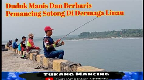 Duduk Manis Dan Berbaris Pemancing Sotong Di Dermaga Linau Bintuhan