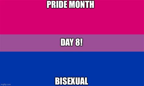 Bisexual Imgflip