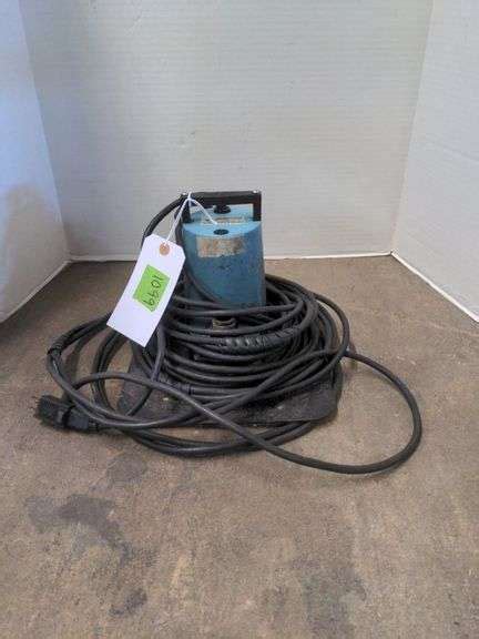 giant pond pump  hose delaware auction center
