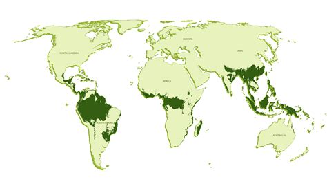 Community — Rainforest Exchange