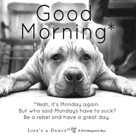 funny monday puns