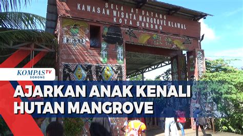 Video Belajar Dan Berwisata Di Hutan Mangrove Klawalu Sorong