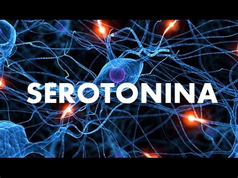 Sintomas De Defici Ncia De Serotonina Youtube