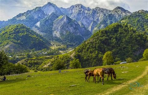 Gabala: Uncover Azerbaijan's Ancient Charm (2024)