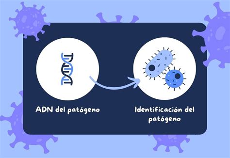 Qu Es La Epidemiolog A Genotipia