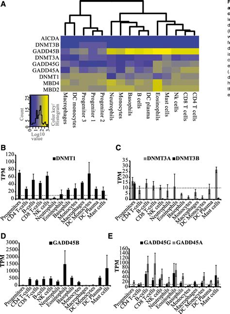 Figure From High Throughput Transcription Profiling Identifies