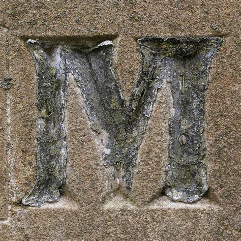 Letter M Creative Artists True Art Lettering