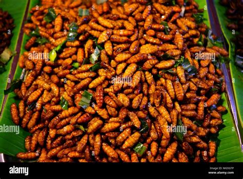 Fried Silkworm Pupae, A Famous Thai Street Food Recipe Stock Photo - Alamy