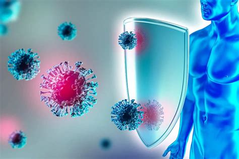 Sistema Inmunol Gico Aspectos Clave Para Reforzarlo