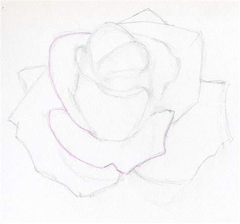 Draw A Rose Head In Few Super Simple Steps