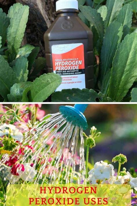 Hydrogen Peroxide Uses In Your Garden Home Gardeners