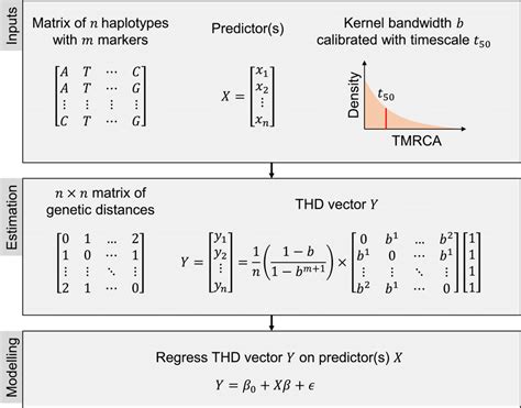 Overview of the THD method's inputs, estimation, and modeling steps ...