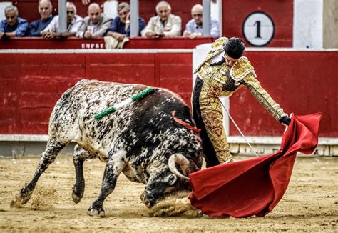 Seis Corridas De Toros Que No Te Puedes Perder En La Feria De San