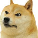 doge Meme Generator - Imgflip