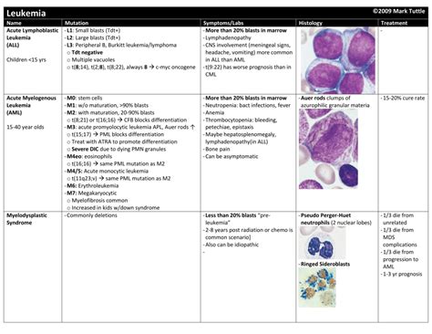 Wbc Hematology Leukemia