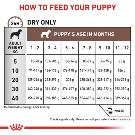 Royal Canin Veterinary Diets Gastrointestinal Dry Puppy Food From £30